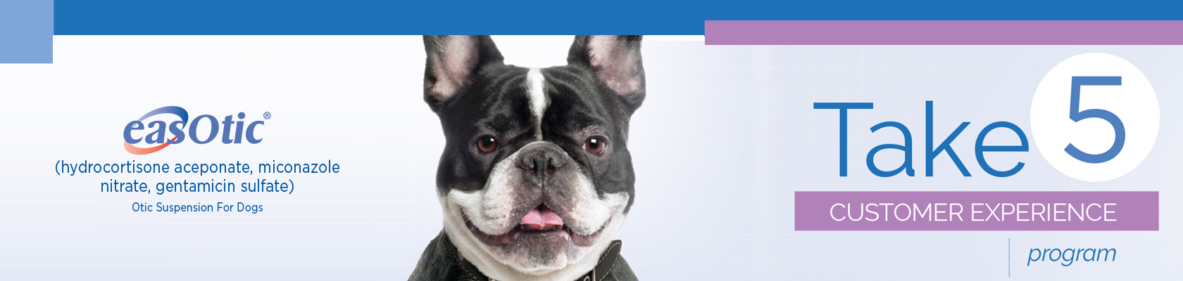 Hydrocortisone aceponate for outlet dogs